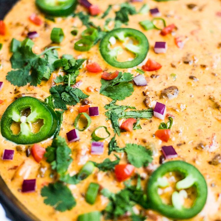 Loaded Venison Queso Dip 2 loaded venison queso dip